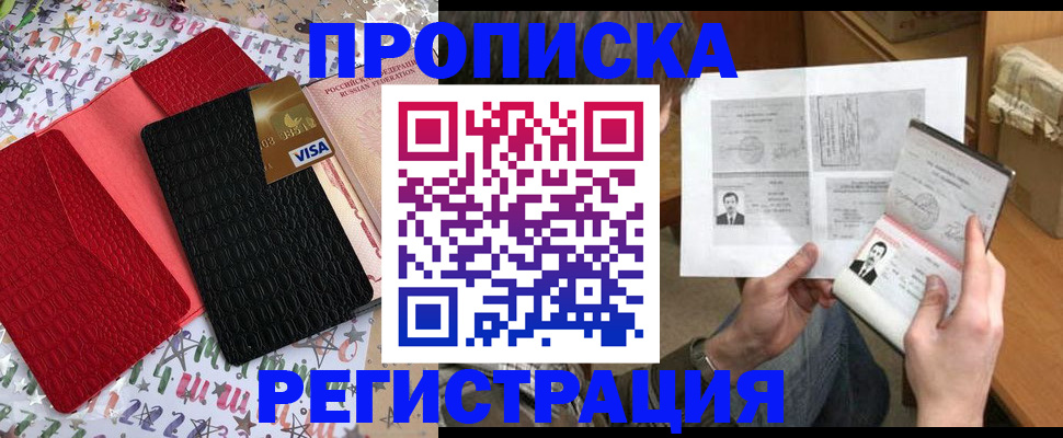 прописка поиск в Зее